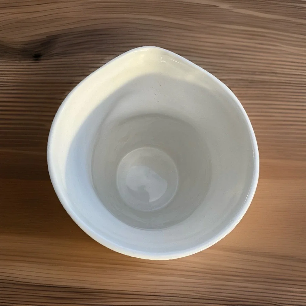 DBO Home West Elm White Ceramic Vase Pitcher Leaf Relief Texture Modern Minimal